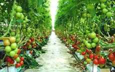Việt Nam cần tăng giá trị nông sản Việt