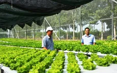 Nông nghiệp công nghệ cao thiếu nguồn nhân lực chất lượng