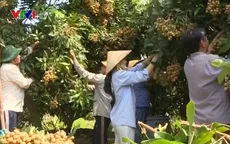 Hà Nội triển khai 96 điểm bán nông sản an toàn