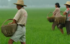 Trung Quốc đầu tư 450 tỷ USD hiện đại hóa nông nghiệp