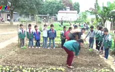 Lào Cai: Xuất hiện mô hình trường học nông trại
