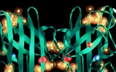 Tìm thấy gen gây bệnh xơ cứng teo cơ ALS