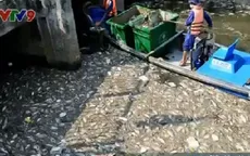 Chỉ 13% nước thải tại TP.HCM được xử lý trước khi thải ra môi trường