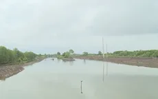 Cà Mau sẽ mở rộng thêm 10.000 ha tôm sinh thái