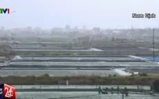 90% diện tích nông nghiệp tại Nam Định có nguy cơ mất trắng