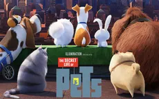 The Secret Life Of Pets - Khi thú cưng nổi loạn...