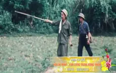 VTV phát sóng chùm PTL đặc sắc mừng Tết Nguyên đán Bính Thân