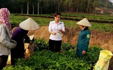Đề án 600 Phó Chủ tịch xã trẻ: Hoài bão và thực tiễn
