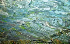 Cảnh đẹp mê mẩn lòng người ở Trung Quốc!