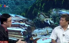Phóng viên VTV8 bàng hoàng vì vụ phá rừng Pơ mu ở Quảng Nam