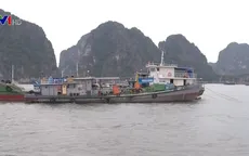 Quảng Ninh bắn pháo hiệu gọi tàu thuyền tránh bão số 7