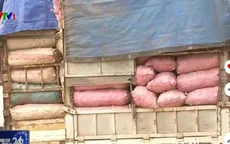 Tháng 5/2016, xử phạt hơn 5.500 xe vi phạm về tải trọng