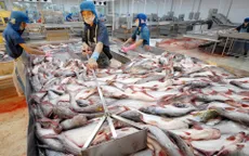 DN thủy sản Việt phấn khởi trước việc Mỹ bác bỏ giám sát cá da trơn