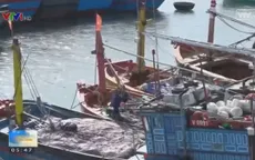 Cá chết hàng loạt, ngư dân "treo niêu"