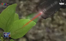 Công nghệ chế biến rau củ thành dụng cụ dò bom mìn