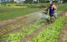 Thực phẩm, rau xanh tăng giá “chóng mặt”