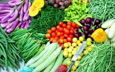 Rối loạn chuyển hóa lipid máu nên ăn gì?