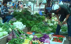 Khan hiếm rau mùa lũ ở miền Trung