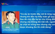 Những phát biểu ấn tượng về thực trạng phá rừng