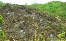 Quảng Ninh: Xử lý nghiêm tình trạng phá rừng tại Hoành Bồ
