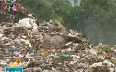 Đồng Tháp cam kết giải quyết triệt để tình trạng “mùa ruồi”