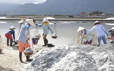 Tạm trữ muối chưa phát huy hiệu quả