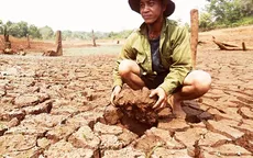 Hạn hán trầm trọng, người dân Tây Nguyên “mót” từng chai nước