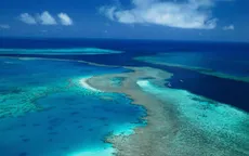Rạn san hô Great Barrier Reef "kêu cứu"