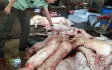 Tăng cường kiểm tra đột xuất các cơ sở giết mổ trên cả nước