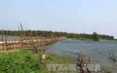 Cho phép Quảng Ngãi xây đê kè ngăn mặn sông Trà Bồng