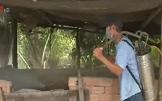 Tăng cường phòng chống dịch heo tai xanh tại Hậu Giang