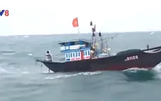 Quảng Nam cứu thành công tàu cá gặp nạn trên biển