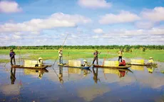 Vì sao lũ về muộn ở ĐBSCL?