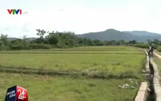 Gia Lai phát hiện một vụ rút ruột công trình gần 1 tỷ đồng