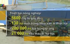 Bão số 1 để lại hậu quả nặng nề tại các địa phương