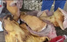 Phát hiện thịt heo rừng bốc mùi hôi thối tại Bình Phước