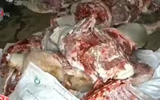 Bình Phước bắt gần 1 tấn thịt bốc mùi hôi thối