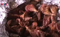 Thịt chuột cống dễ dàng "giả dạng" chuột đồng vì không có chế tài xử phạt?