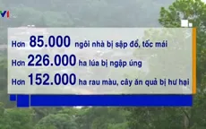 Phó Thủ tướng Trịnh Đình Dũng: Cần chủ động hơn nữa trong phòng chống bão