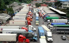 Heo rớt giá tại cửa khẩu