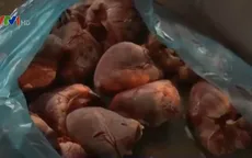 Hà Nội: Thu giữ gần 1 tấn thực phẩm đông lạnh không rõ xuất xứ
