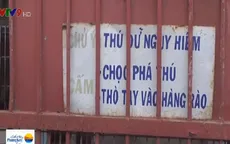 Người dân Bình Dương lo lắng sống chung với… thú dữ