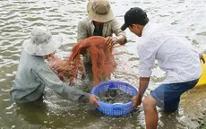 Khởi tố vụ mua giấy tờ kiểm định sản phẩm thức ăn thủy sản