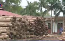 Bắc Giang: Khuất tất khiến dân mất trắng đất sau 10 năm cho thuê