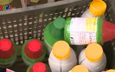 Thuốc diệt cỏ chứa Glyphosate: Thế giới cấm, Việt Nam vẫn bán chạy