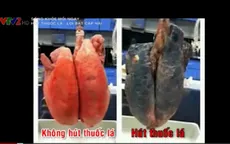 Hơn 7.000 chất hóa học độc hại trong khói thuốc lá
