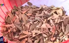 Nguy cơ tử vong vì chữa ung thư bằng thuốc nam không rõ nguồn gốc