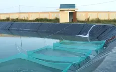 Quảng Nam: Tăng cường đầu tư công trình thủy lợi