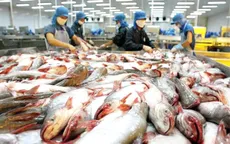 EU trả về 17 lô hàng nông, thủy sản của Việt Nam