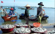 Bổ sung kinh phí cho 22 địa phương phát triển thủy sản